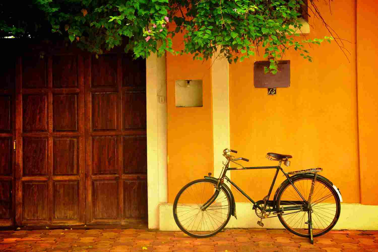 Old bike against yellow wall, green leaf on top